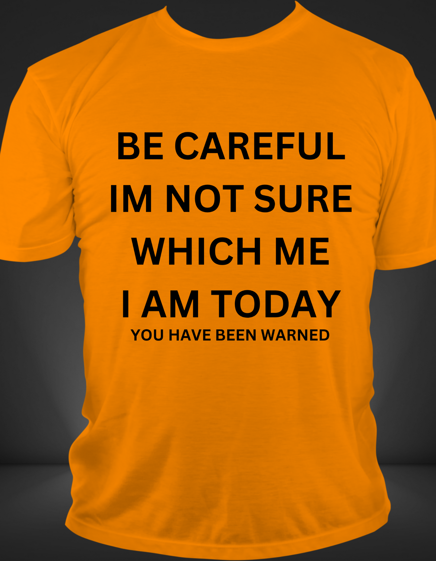 "BE CAREFUL IM NOT SURE WHICH ME I AM TODAY" T-Shirt
